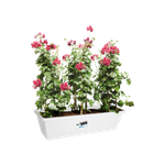 barcelona xl 60cm weiss